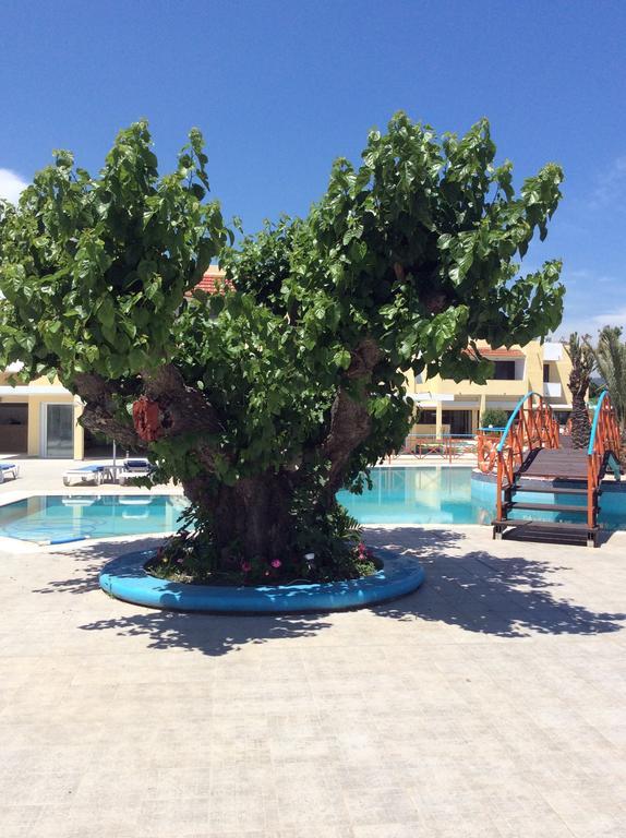 Angelos Beach Hotel Faliráki Kültér fotó